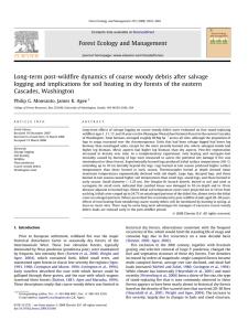 Long-term post-wildﬁre dynamics of coarse woody debris after salvage