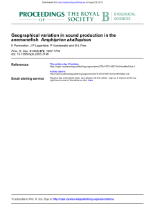 Amphiprion akallopisos Geographical variation in sound production in the anemonefish References