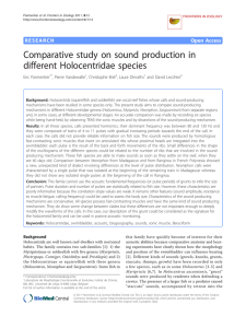 Comparative study on sound production in different Holocentridae species Open Access