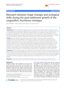 Mismatch between shape changes and ecological surgeonfish, Acanthurus triostegus