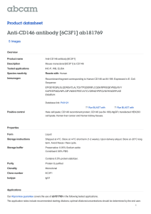 Anti-CD146 antibody [6C3F1] ab181769 Product datasheet 5 Images Overview