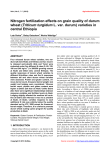 Nitrogen fertilization effects on grain quality of durum Triticum turgidum central Ethiopia