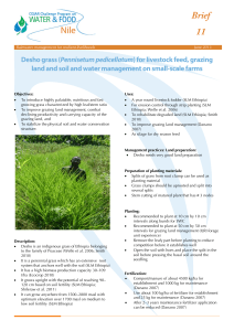 Brief 11 Pennisetum pedicellatum land and soil and water management on small-scale farms
