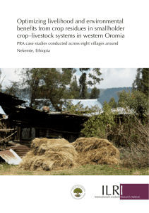 Optimizing livelihood and environmental benefits from crop residues in smallholder