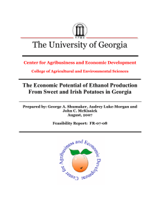 The University of Georgia The Economic Potential of Ethanol Production
