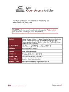 The Role of Muscle microRNAs in Repairing the Neuromuscular Junction Please share