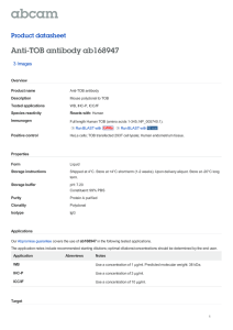 Anti-TOB antibody ab168947 Product datasheet 3 Images Overview