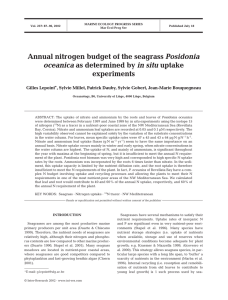 Annual nitrogen budget of the seagrass experiments Posidonia oceanica