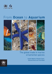 Ocean The global trade in marine ornamental species Colette Wabnitz, Michelle Taylor,