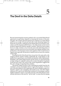 5 The Devil in the Doha Details