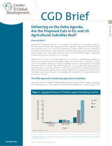CGD Brief Delivering on the Doha Agenda: Agricultural Subsidies Real?