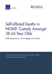 Self-inflicted Deaths in NOMS’ Custody Amongst 18–24 Year Olds