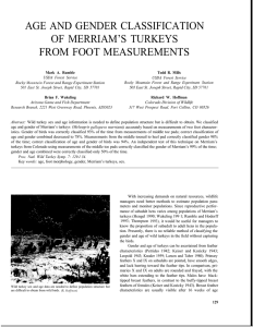 AGE AND GENDER CLASSIFICATION OF MERRIAM’S TURKEYS FROM FOOT MEASUREMENTS