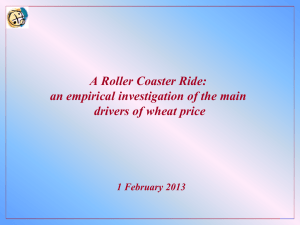 A Roller Coaster Ride: an empirical investigation of the main