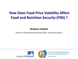 How Does Food Price Volatility Affect Matthias Kalkuhl