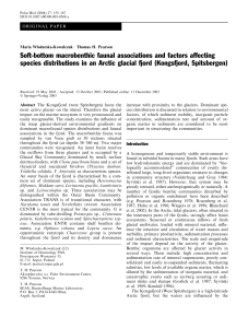 Soft-bottom macrobenthic faunal associations and factors affecting
