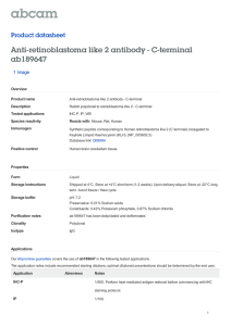 Anti-retinoblastoma like 2 antibody - C-terminal ab189647