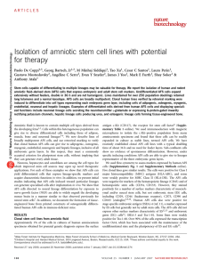 Isolation of amniotic stem cell lines with potential for therapy