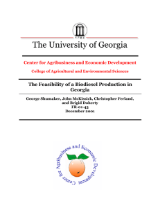 The University of Georgia The Feasibility of a Biodiesel Production in Georgia