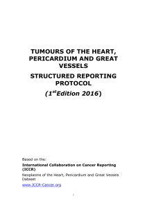 TUMOURS OF THE HEART, PERICARDIUM AND GREAT VESSELS STRUCTURED REPORTING