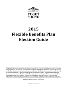 2015 Flexible Benefits Plan Election Guide