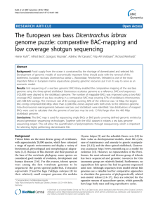 The European sea bass Dicentrarchus labrax genome puzzle: comparative BAC-mapping and