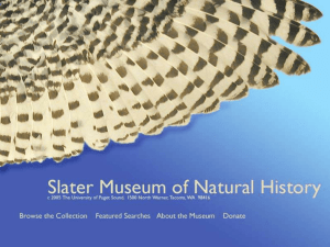 Slater Museum of Natural History, University of Puget Sound