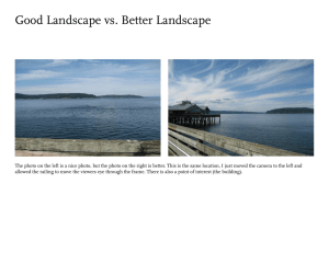 Good Landscape vs. Better Landscape