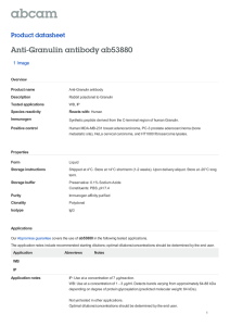 Anti-Granulin antibody ab53880 Product datasheet 1 Image Overview