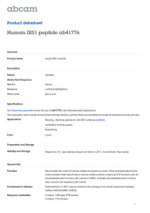 Human IRS1 peptide ab41776 Product datasheet Overview Product name