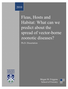 Fleas, Hosts and Habitat: What can we predict about the spread of vector-borne
