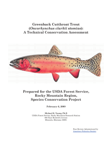 Greenback Cutthroat Trout Oncorhynchus clarkii stomias A Technical Conservation Assessment