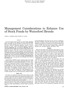 Management Considerations to Enhance Use of Stock Ponds by Waterfowl Broods