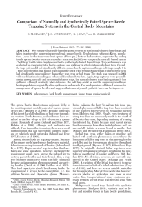 Comparison of Naturally and Synthetically Baited Spruce Beetle