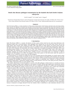 Scolytus Dutch elm disease pathogen transmission by the banded elm bark... schevyrewi By W. R. Jacobi