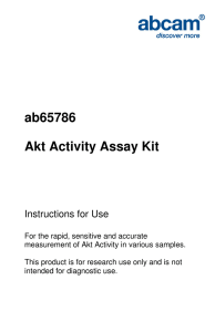 ab65786 Akt Activity Assay Kit  Instructions for Use