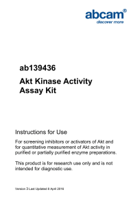 ab139436 Akt Kinase Activity Assay Kit Instructions for Use