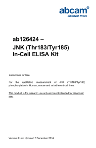 ab126424 – JNK (Thr183/Tyr185) In-Cell ELISA Kit