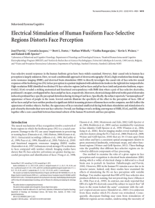 Electrical Stimulation of Human Fusiform Face-Selective Regions Distorts Face Perception