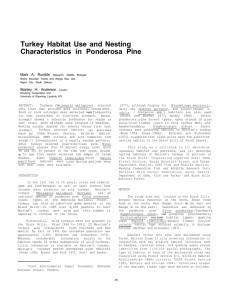 Turkey Habitat Use and Nesting Characteristics in  Ponderosa Pine