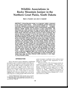 Wildlife Associations in Rocky Mountain Juniper in the Mark A. Rumble