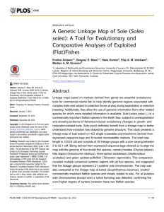 A Genetic Linkage Map of Sole (Solea Comparative Analyses of Exploited