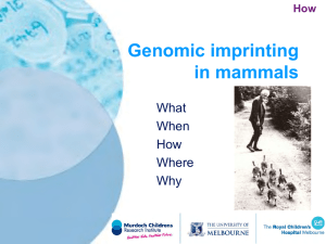 Genomic imprinting in mammals What When