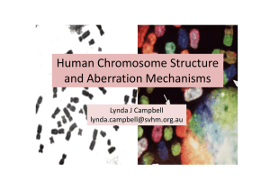 HumanChromosomeStructure andAberrationMechanisms LyndaJCampbell