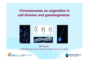 Chromosomes as organelles in cell division and gametogenesis MD Pertile