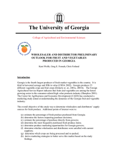 The University of Georgia WHOLESALER AND DISTRIBUTOR PRELIMINARY