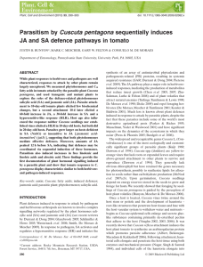 Cuscuta pentagona JA and SA defence pathways in tomato ABSTRACT