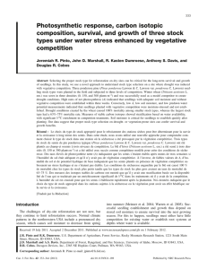 Photosynthetic response, carbon isotopic composition, survival, and growth of three stock