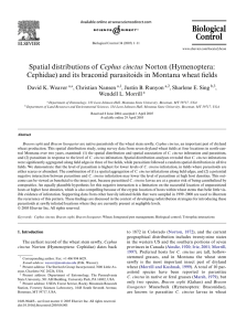 Cephus cinctus Welds Cephidae) and its braconid parasitoids in Montana wheat