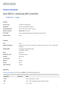 Anti-ERCC1 antibody [8F1] ab2356 Product datasheet 11 References 4 Images